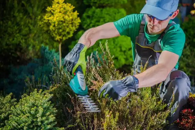 landscaping services Manhasset
